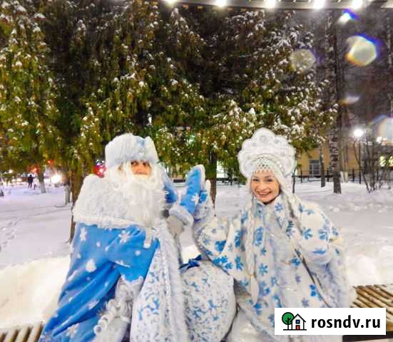 Дед Мороз и Снегурочка на дом Йошкар-Ола - изображение 1