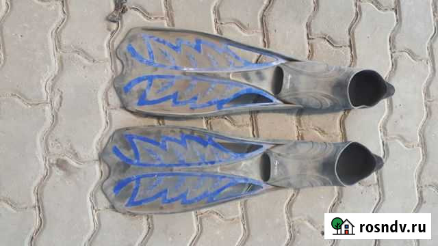 Ласты-плавательные (профессиональнальные) Липецк - изображение 1