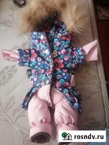 Костюм для собаки Боровичи - изображение 1