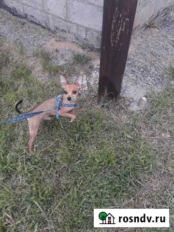 Вязка Коломна - изображение 1