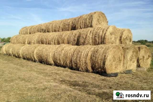 Сено в рулонах с доставкой Ленинск - изображение 1