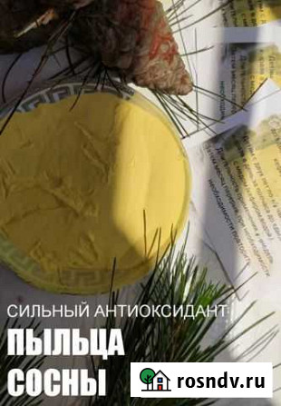 Пыльца сосны (при онкологии) Симоненко - изображение 1