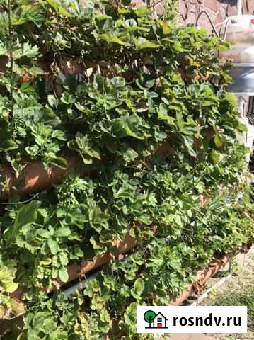 Гидропоника Ижевск - изображение 1