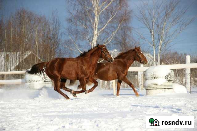 Постой Ковров - изображение 1