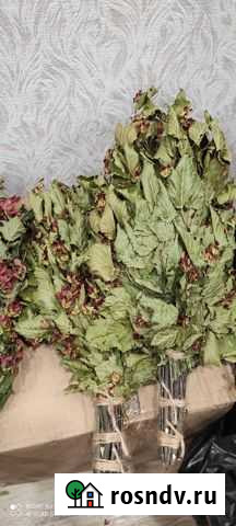 Банные веники из черного ореха и черноклёна Кострома - изображение 1