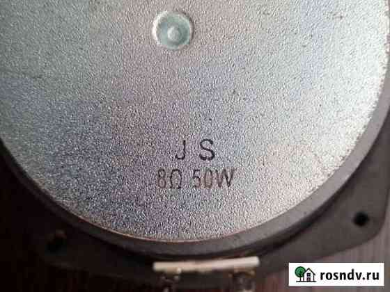 Динамик нч JS 8 ом 50 W,6 дюймов и советский дина Боготол