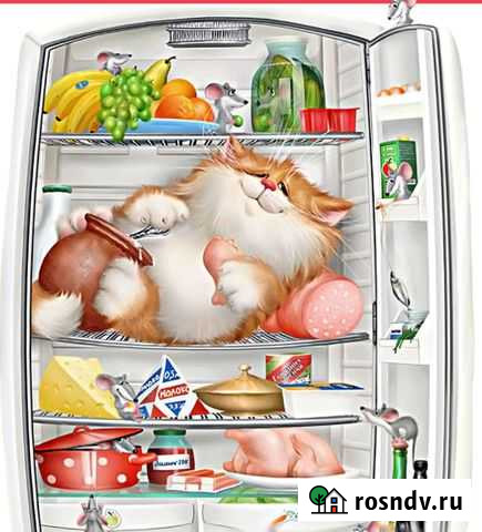 Ремонт холодильников с выездом Анна - изображение 1