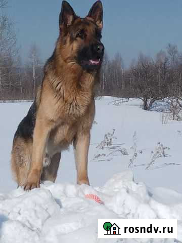 Вязка Новокузнецк - изображение 1