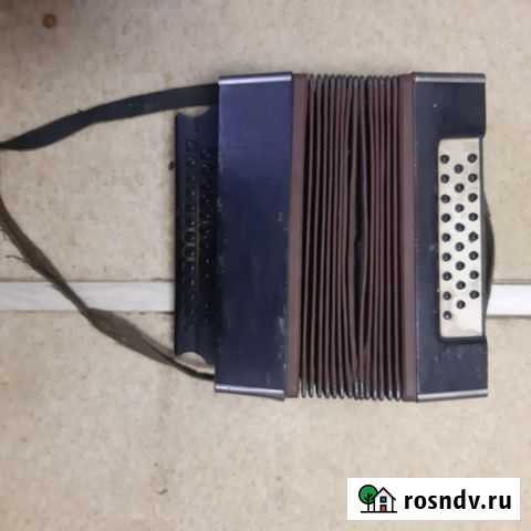 Гармонь старинная Псков - изображение 1