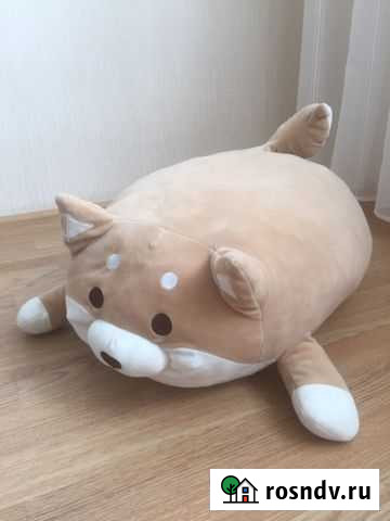 Собака Астрахань - изображение 1