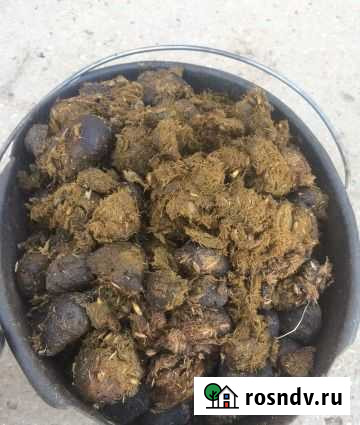 Навоз Конский «Конские яблоки» Самара - изображение 1