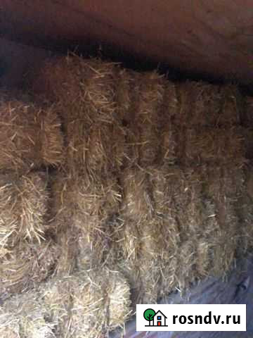 Солома сено Брюховецкая - изображение 1