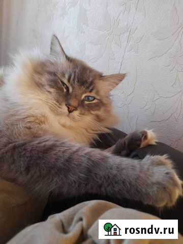 Невская маскарадная Уфа - изображение 1