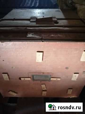 Инкубатор Тоцкое Второе - изображение 1