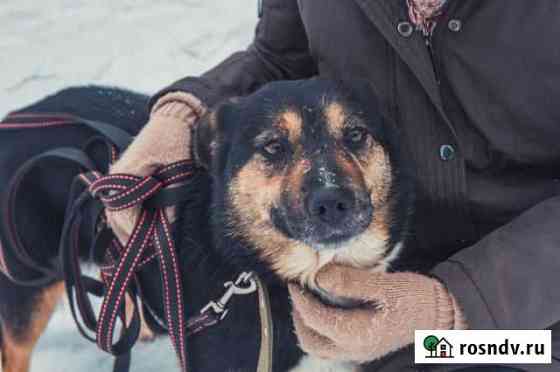 Шанс для Весны Клин