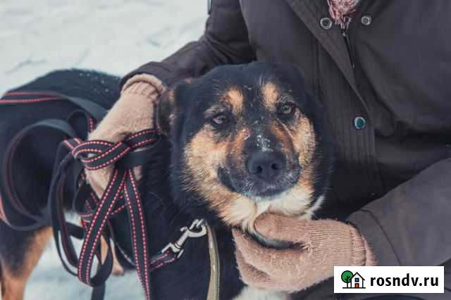 Шанс для Весны Клин - изображение 1