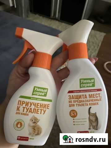 Приучен к лотку Подольск - изображение 1