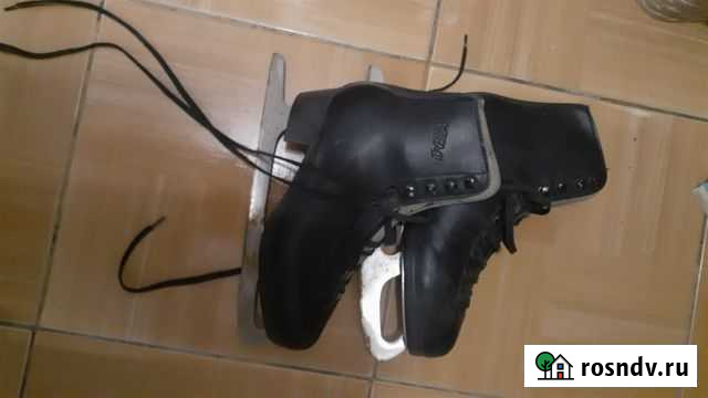 Коньки Тамбов - изображение 1