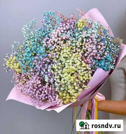 Гипсофила Петрозаводск - изображение 1