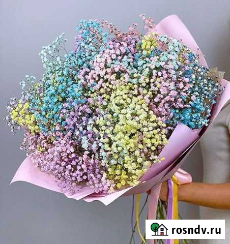 Гипсофила Петрозаводск - изображение 1