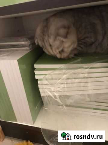 Альбом для записей и рисунков Иваново - изображение 1