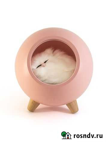 Ночник лючия 129 Котенок в домике аккум Петрозаводск - изображение 1