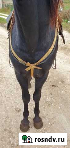 Нагрудник Учкекен - изображение 1