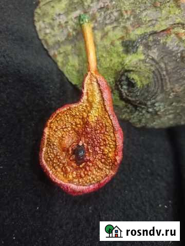 Брошь,груша с гранатом Калининград - изображение 1