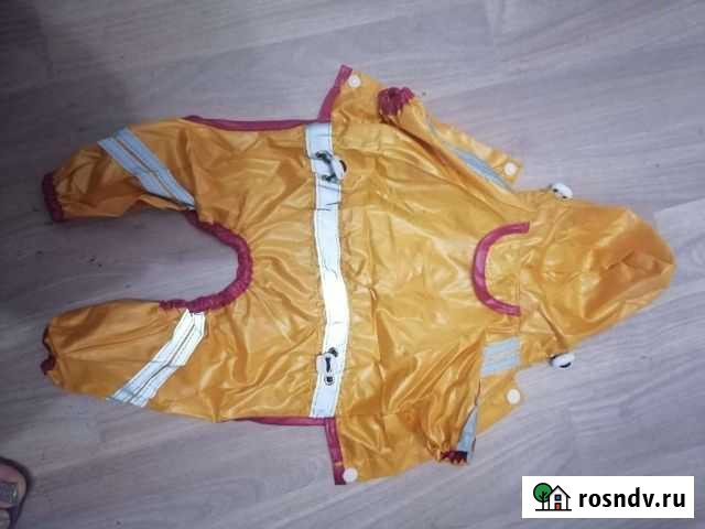 Дождевик для собаки Богданович - изображение 1