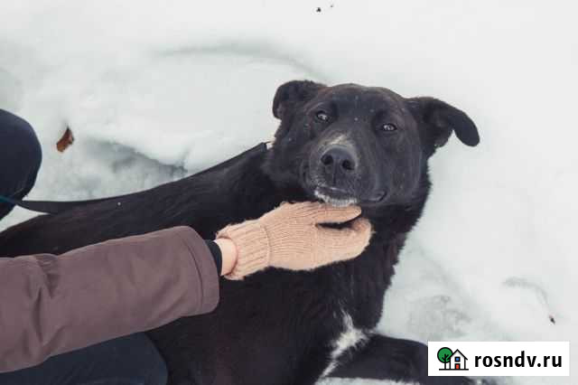 Шанс для молоденькой девочке Луны Клин - изображение 1