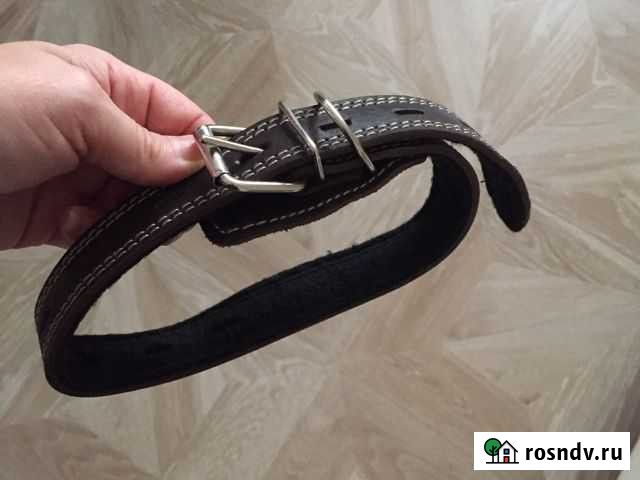 Ошейник Кстово - изображение 1