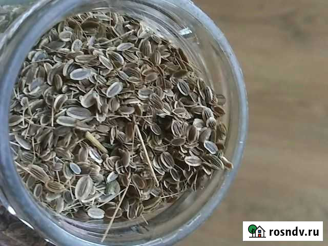 Семена укропа Нижний Новгород - изображение 1