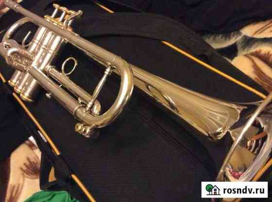 Stomvi trumpet Воронеж