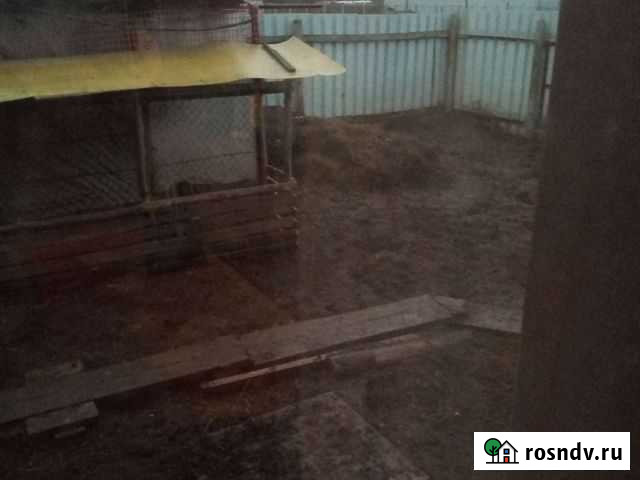 Навоз перегной в мешках Балабаново - изображение 1