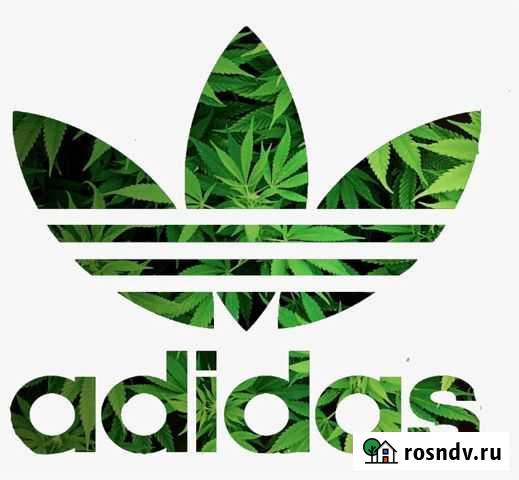 Скидка adidas 20 Казань - изображение 1