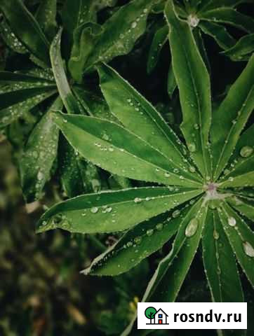 Фото/видеомейкер Елизово - изображение 1