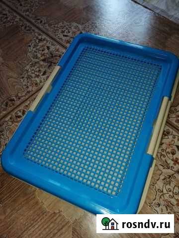 Лоток для собак Березники - изображение 1