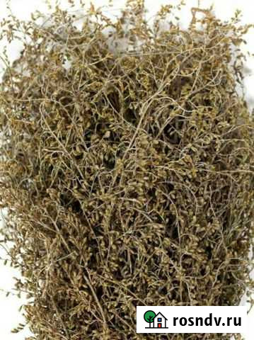 Полынь лимонная букет сухостой веник Геленджик - изображение 1