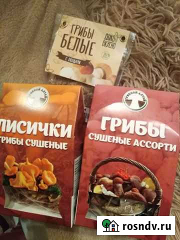 Белые, лисички, опята Ульяновск - изображение 1