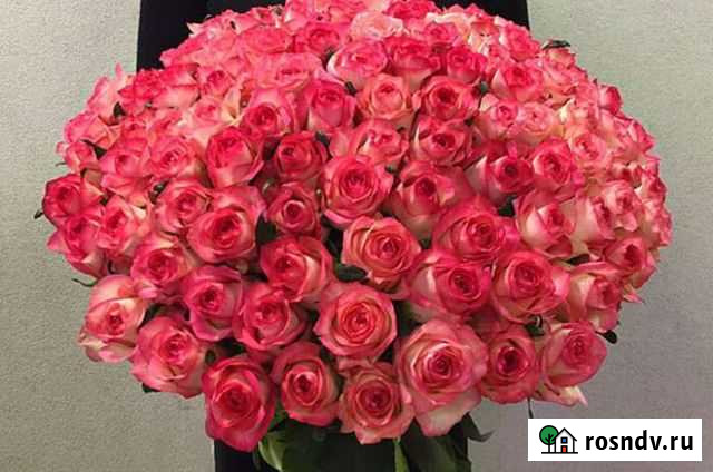 Роза 101 Тверь - изображение 1