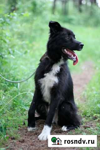 Лизка Шелехов - изображение 1