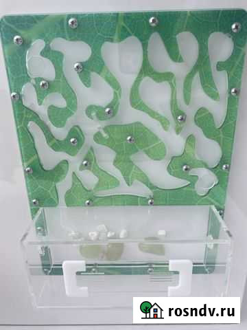 Муравьиная ферма Новороссийск - изображение 1