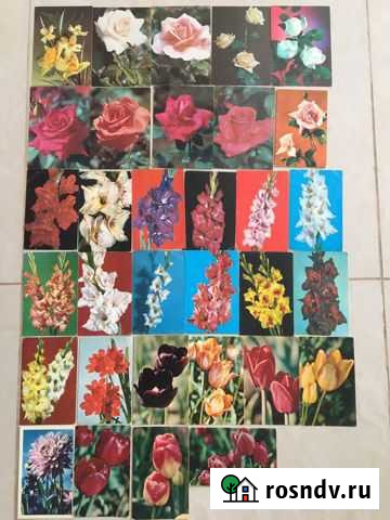 Открытки СССР Воронеж - изображение 1