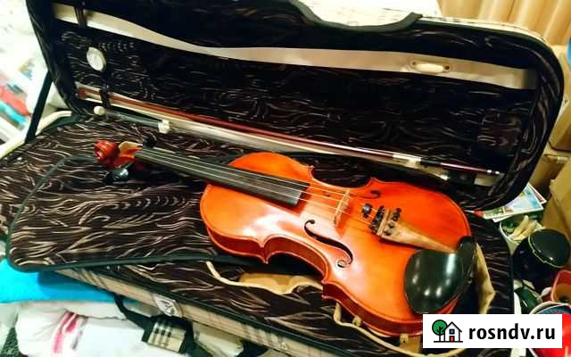 Скрипка Астрахань - изображение 1