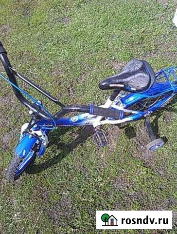 Велосипед детский Мучкапский - изображение 1