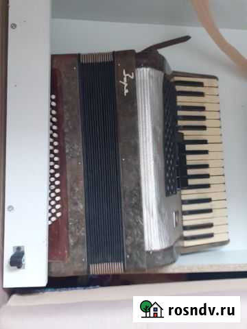 Аккордеон Заря Сызрань - изображение 1
