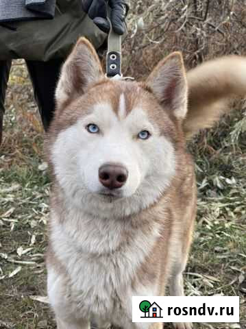Север Самара - изображение 1