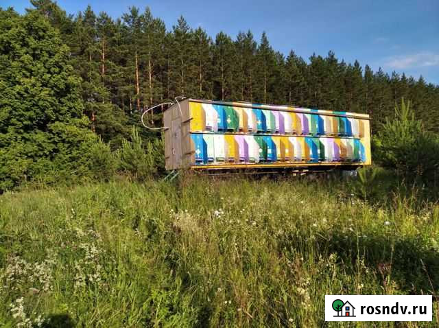 Пчелопавильон касетный Буздяк - изображение 1