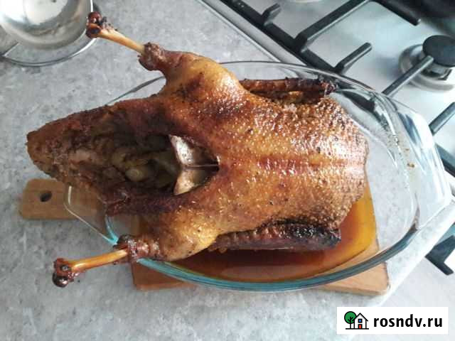 Мясо индоутки Железногорск - изображение 1