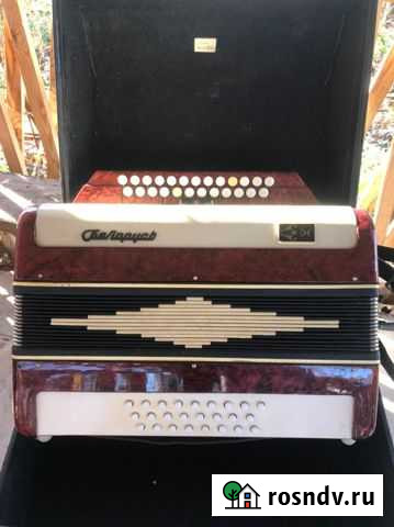 Баян Лебедянь - изображение 1